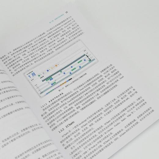 数据可视化分析与实践 DataEase教程书籍 数据分析从入门到精通 数据采集预处理图表设计 商品图2