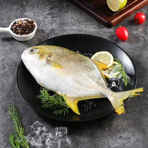 【自营】鲜到鲜得 金鲳鱼400g*4条 舟山海鲜系列甄选金鲳鱼礼盒1.6kg(净重) 商品图5