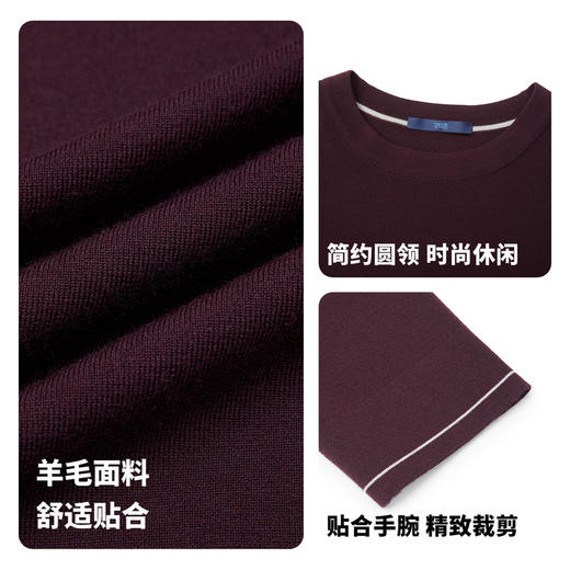 【门店同款&含绵羊毛】圣得西冬季打底质感羊毛衫25年男士针织衫 商品图4