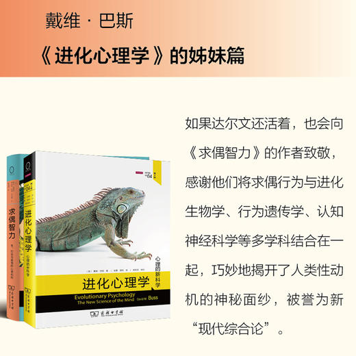 求偶智力:性.约会与爱情的心理机制 商品图1