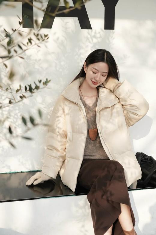 【高品质私服】【IC丝驼绒羽绒服】绒朵高蓬松度 羽绒久穿依旧蓬松G1607-CC【无标出货 介意慎拍】 商品图6