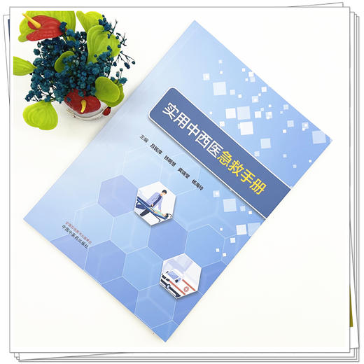 实用中西医急救手册 吕锐萍 铁明慧 龚瑞莹 杨海玲 主编 中国中医药出版社 商品图1