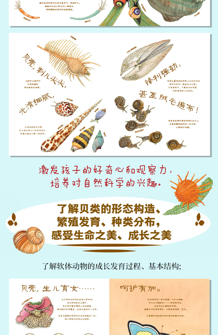 美丽成长6册详情页(贝壳)-详图_03.jpg