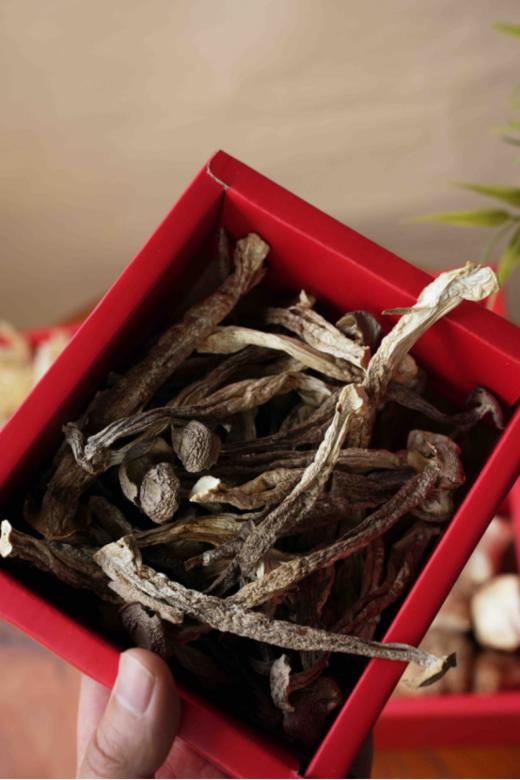 ✨【一朵燕山野菌礼—菌菇礼盒 】💕 手工采摘，😎自然风干，无熏硫无掺杂 👍有羊肚菌、鹿茸菇、❤️蛹虫草、猴头菇、竹荪，🍄杏鲍菇、多种食用菌类 红色大气礼盒装 商品图6