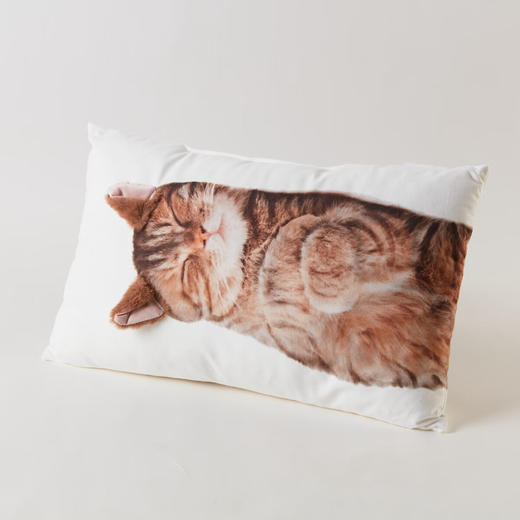 沙发椅子含芯抱枕靠垫柔软立体卡通 商品图1