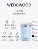 WEDGWOOD威基伍德漫游美镜、金粉年华、野草莓随行杯陶瓷涂层内胆保温杯咖啡杯 商品缩略图2