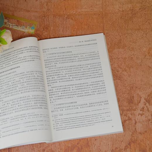 协同共治:社会组织参与社会治理的理论与实践 商品图4