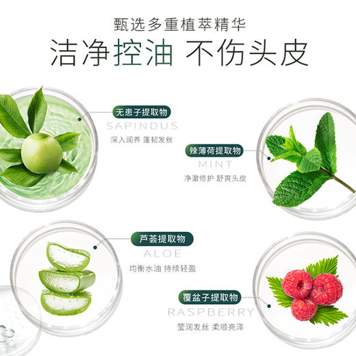 滋源丨 无患子控油清爽洗头水  535ml/瓶（油性） 商品图2
