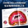 DK地球运转的秘密（多巴胺版） 商品缩略图4