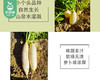 秉真安溪高山有机白萝卜/1份（约1kg） 商品缩略图2
