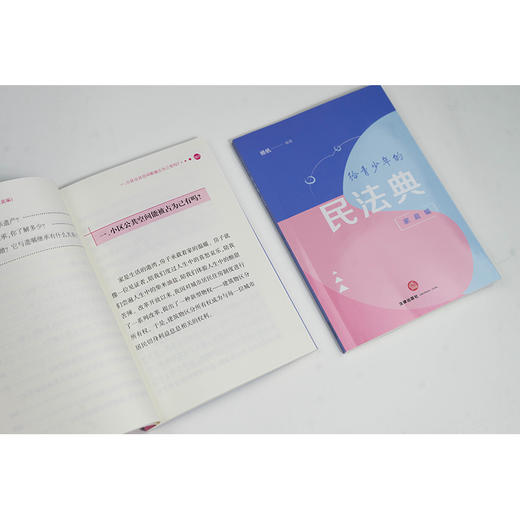 给青少年的民法典.家庭编 商品图3