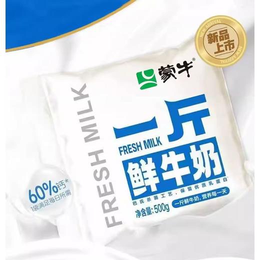 蒙牛 巴氏杀菌工艺一斤鲜牛奶 500g/袋 商品图1