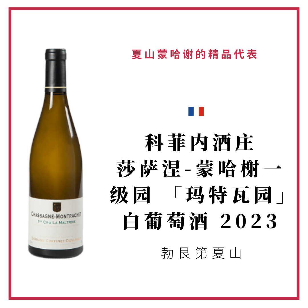Domaine Coffinet-Duvernay 科菲内酒庄 莎萨涅-蒙哈榭一级园 「玛特瓦园」 白葡萄酒