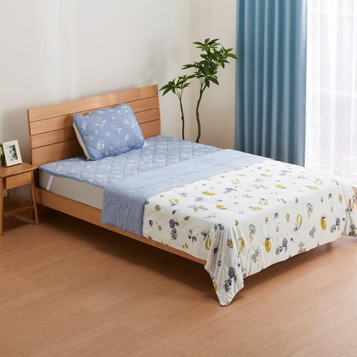 夏日凉被空调被A类抗菌强冷感薄被床垫枕垫 S25 水果 商品图1