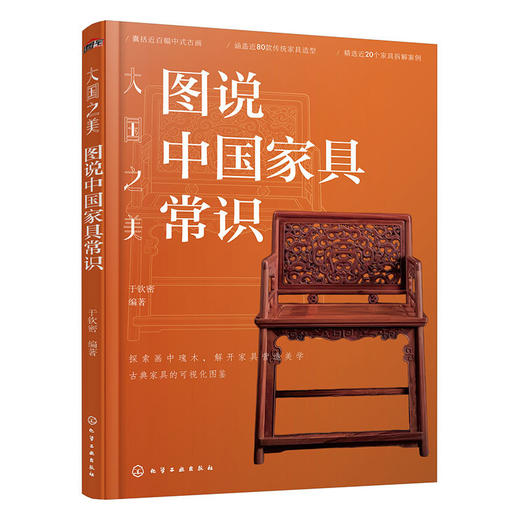 大国之美:图说中国家具常识 商品图1