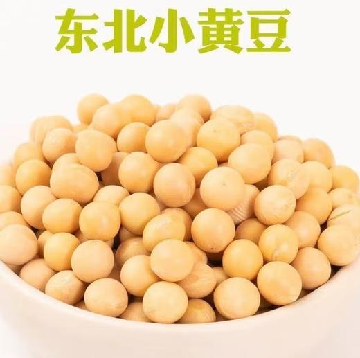 【YC】东北黄豆 非转基因大豆 优质新豆 商品图0