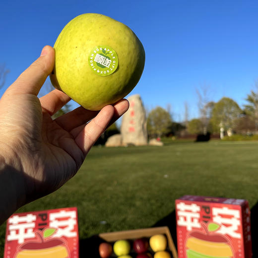 【产地直发】苹果盲盒 12枚礼盒装 多规格 商品图5