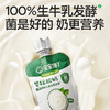 宝宝馋了婴标酸奶(原味/黄桃味/西梅味/草莓味)85g 商品缩略图2