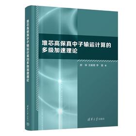 堆芯高保真中子输运计算的多级加速理论
