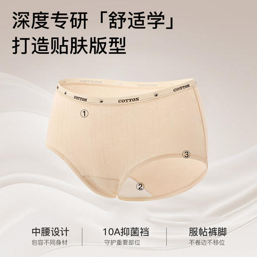 N2-4条装【10A抑菌纯棉裆】柔软提花棉高弹透气中腰女士内裤女 花影私藏+云棉织月 商品图1