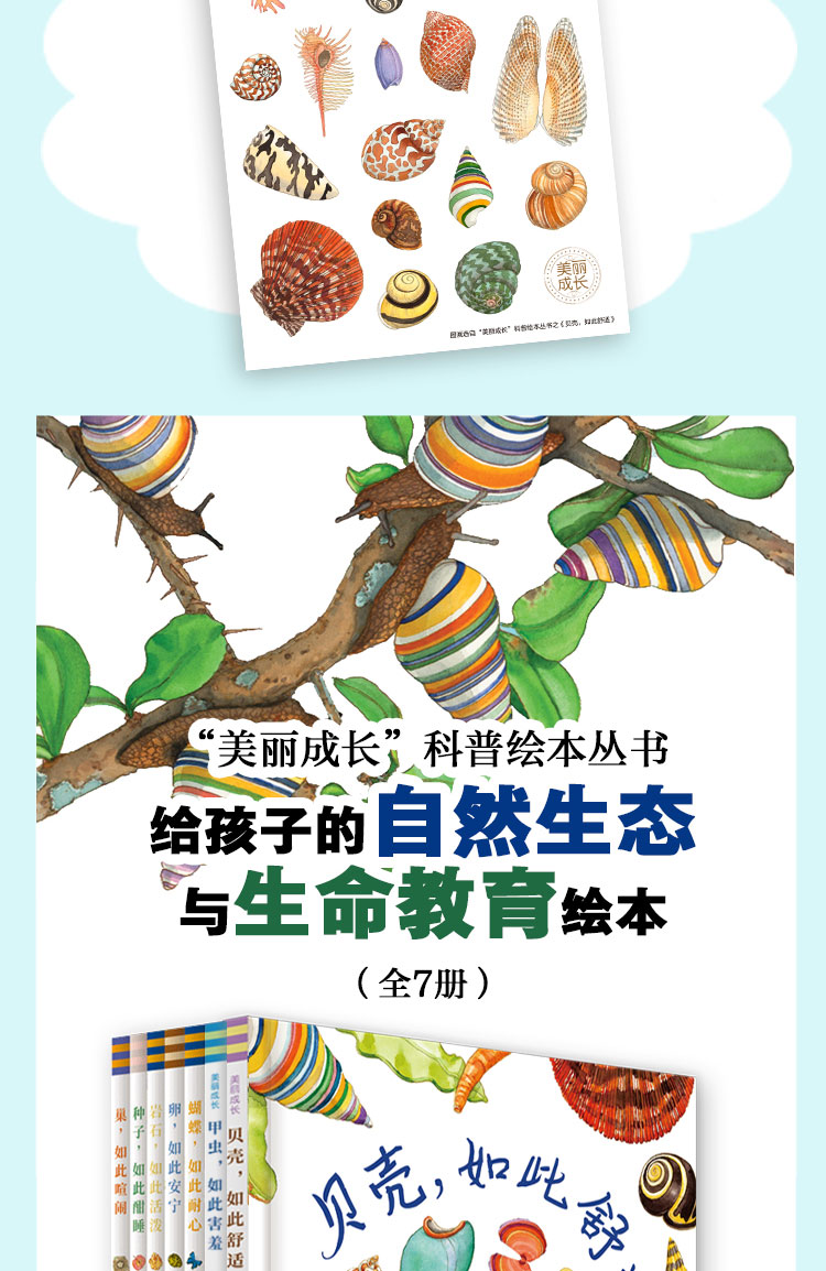 美丽成长6册详情页(贝壳)-详图_07.jpg