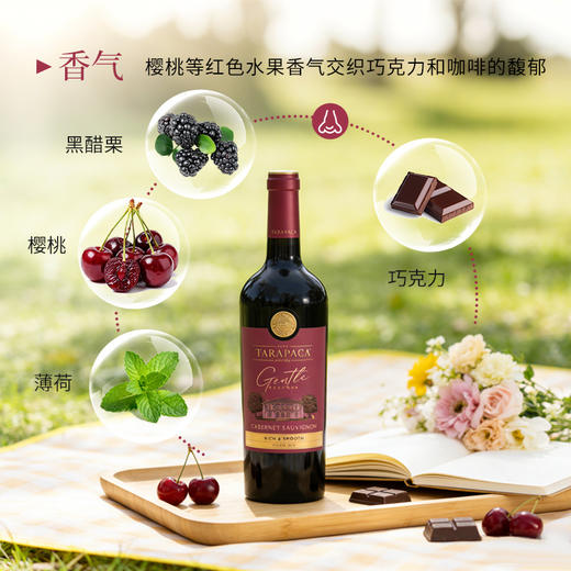 【新品上市 微醺新主张】智利半甜红葡萄酒  红蔓庄园珍柔赤霞珠红葡萄酒750ml 商品图2