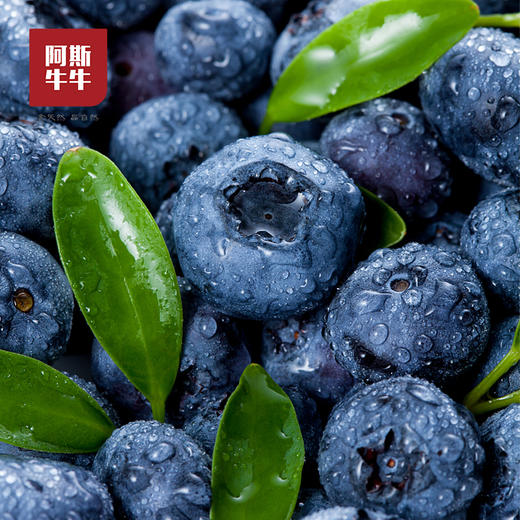 2025 西昌高山阳光花香蓝莓 L25 应季新鲜 产地直发 顺丰空运 商品图0