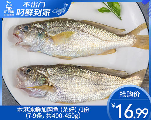 本港冰鲜加网鱼（杀好）/1份（7-9条，共400-450g） 商品图0