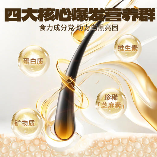 老金磨方黑芝麻糊核桃黑豆粉1000g代餐养生五黑粉桑葚早餐冲泡 商品图3