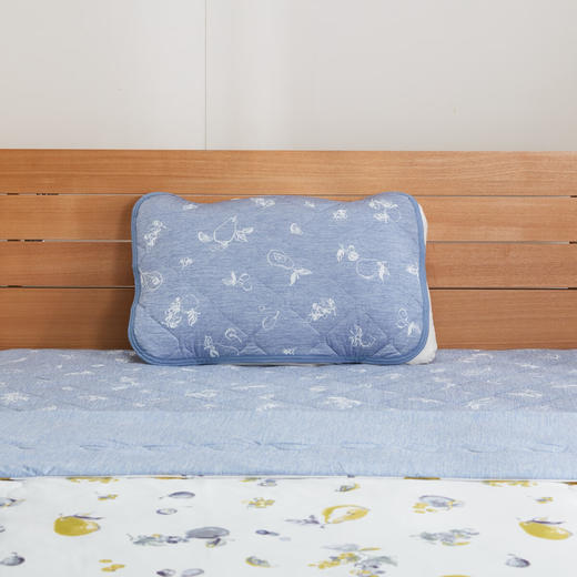 夏日凉被空调被A类抗菌强冷感薄被床垫枕垫 S25 水果 商品图6