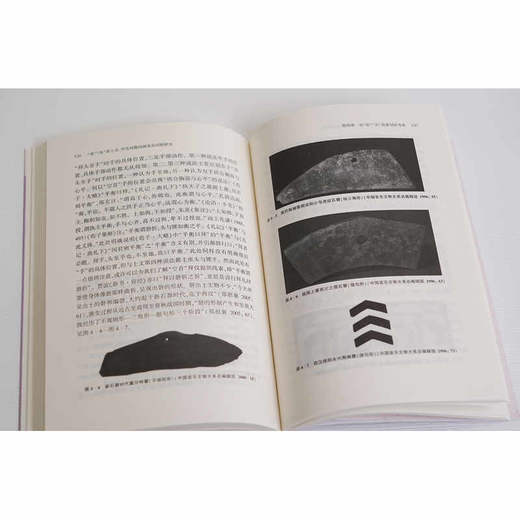 首头在上古.中古时期的演变及词群研究 商品图4