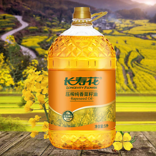 【高圆圆推荐】长寿花纯香菜籽油5L*1大容量物理压榨食用油植物油 商品图1