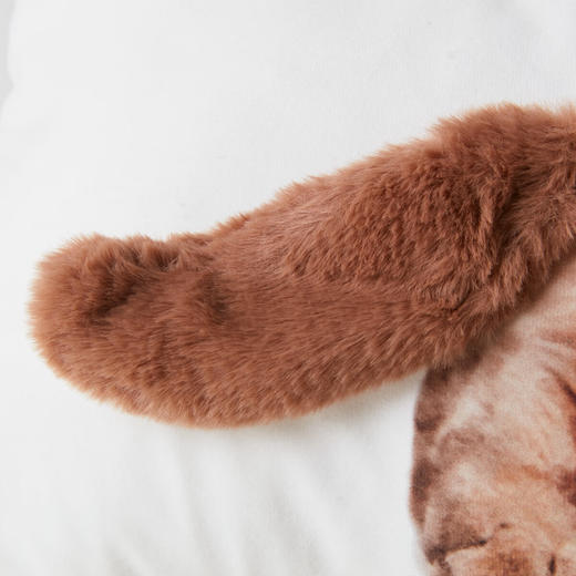 沙发椅子含芯抱枕靠垫柔软立体卡通 商品图3