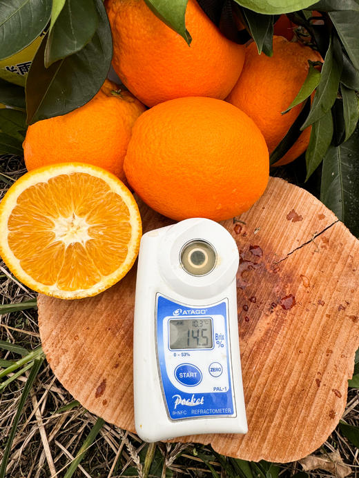 【产地直采】赣南脐橙，水分充足，橙香味浓郁，不加蜜，自然甜，口感好超级好，力推 商品图9