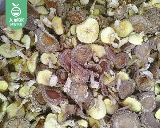 菇芯语生态香菇/1包（300g）生产日期：12月23日 商品图4