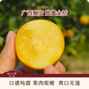 融安脆蜜金桔-多汁蜜甜比瓶盖大独立包装 商品缩略图0