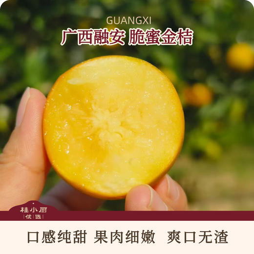 融安脆蜜金桔-多汁蜜甜比瓶盖大独立包装 商品图0