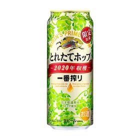 麒麟一番榨啤酒500ml/瓶
