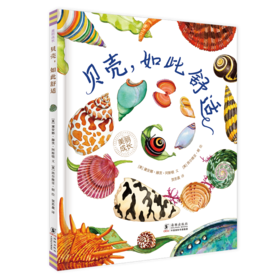 贝壳，如此舒适-美丽成长（童眸）