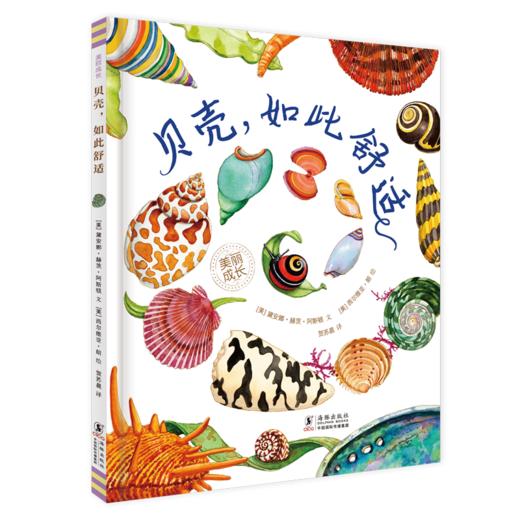 贝壳，如此舒适-美丽成长（童眸） 商品图0