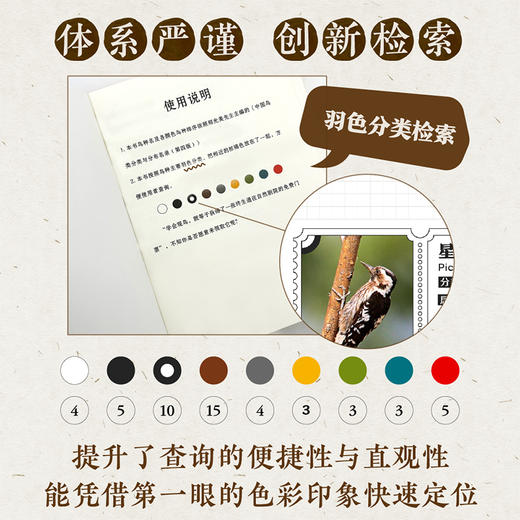 小鸟科普手账本·精装刷边 商品图2