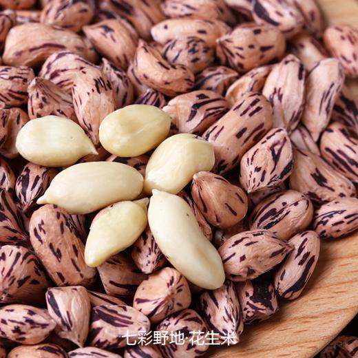 【全家福年货礼盒】七彩野地花生 春节年会礼盒云南特色花生1488克/盒 过年送礼全部配齐 商品图5