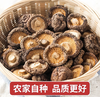 【YC】新货肉厚无根香菇煲汤食材 商品缩略图0