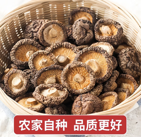 【YC】新货肉厚无根香菇煲汤食材