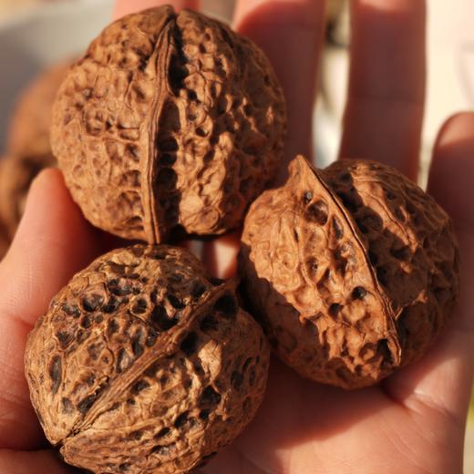 010雪山核桃  果肉清甜 香脆酥 不油不腻 无漂白 颗颗人工甄选 厚实饱满 商品图4