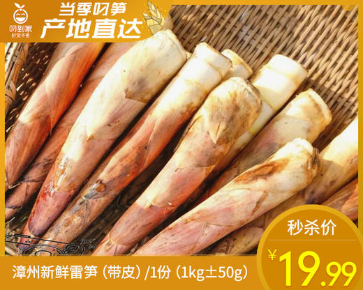 漳州新鲜雷笋（带皮）/1份（1kg±50g） 商品图0