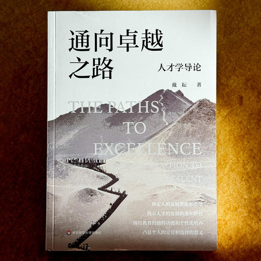 通向卓越之路 人才学导论 戴耘 人工智能时代人才 商品图1