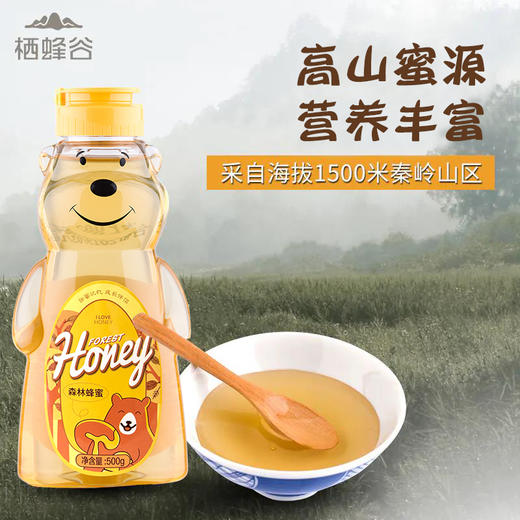 高山森林蜂蜜500g  采自秦岭高山蜜源 小熊造型儿童友好 孩子的营养好蜂蜜 商品图2
