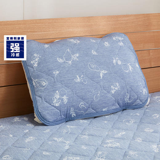 夏日凉被空调被A类抗菌强冷感薄被床垫枕垫 S25 水果 商品图3