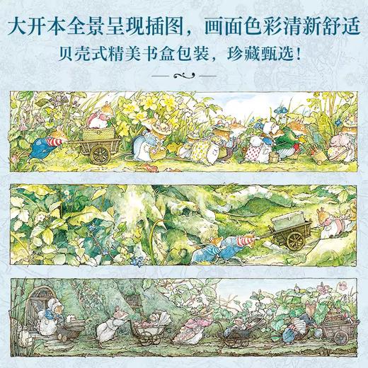 野蔷薇村的故事：纪念典藏 商品图1